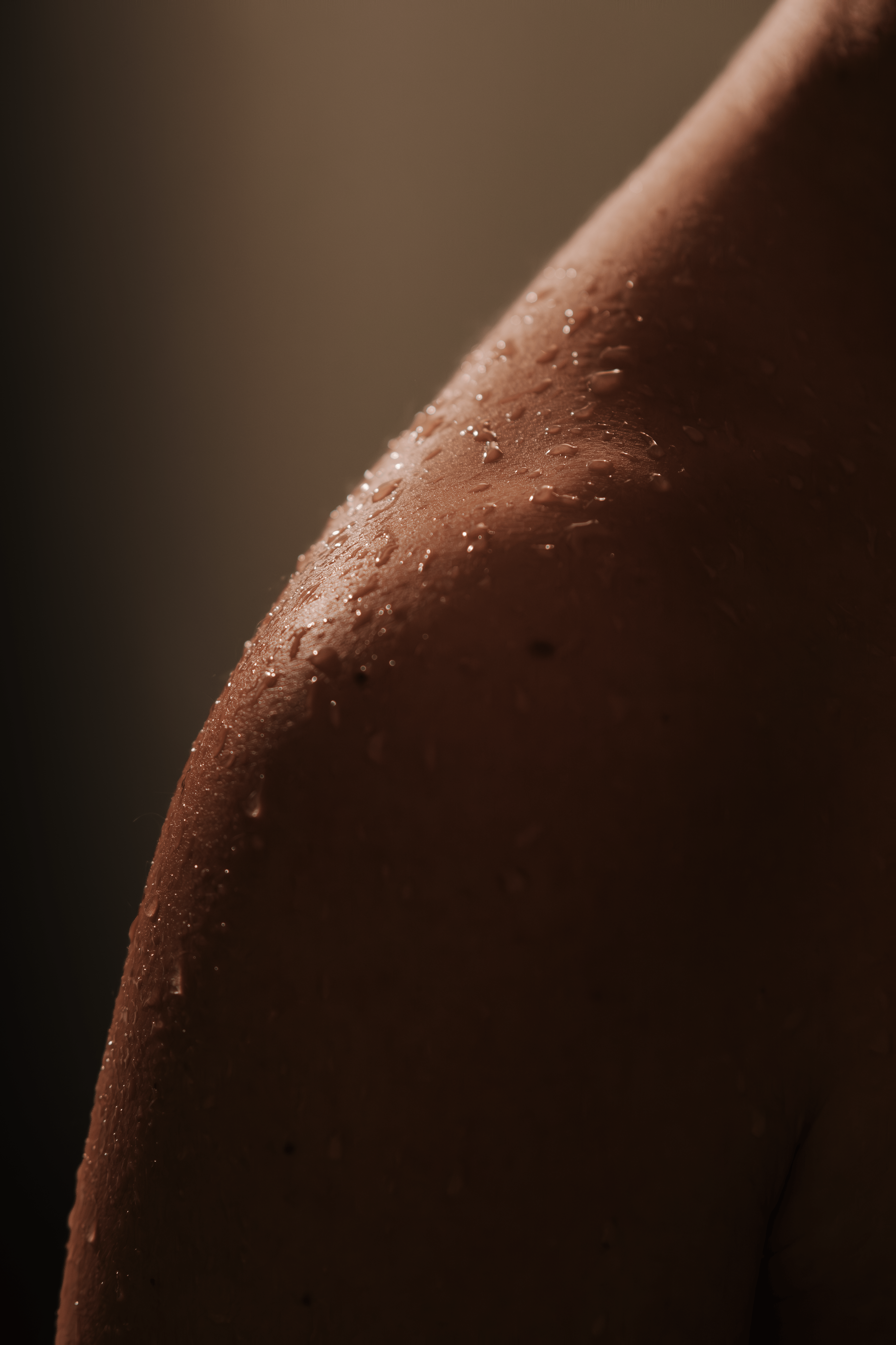 Watego vs Well Verti: Which Shower Filter Is Best in Australia?