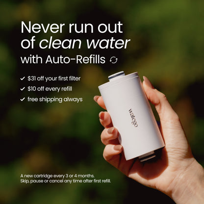 Shower Filter - Family Bundle